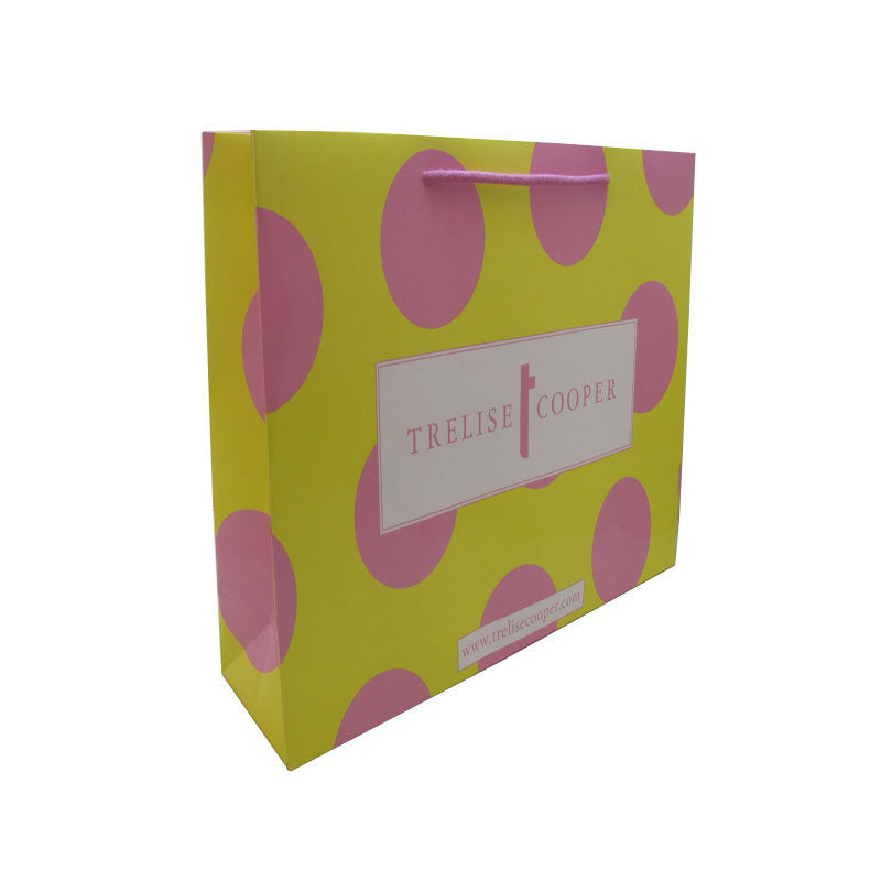 Customized paper bag with nylon rope