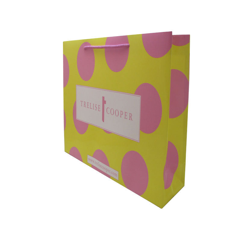 Customized paper bag with nylon rope
